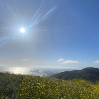 RVremax's profile picture. Free speech for everyone