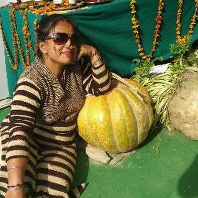 KavitaOrganics's profile picture. 