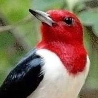 MY❤️LOVE🇾🇪YEMEN🇾🇪 (@m0abm) 's Twitter Profile
