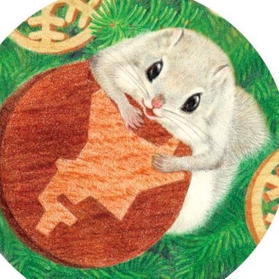 KeikoOさんのプロフィール画像