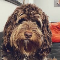 CuttymyBuddy (@cuttyurbuddi) 's Twitter Profile