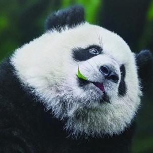 youclourful's profile picture. 加油