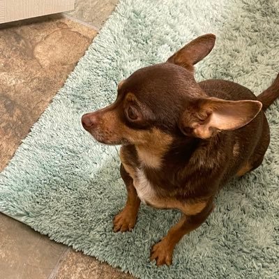 NoMoreDrama65's profile picture. 