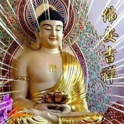 jiaxiangtutech1's profile picture. 一派在手 千下我有