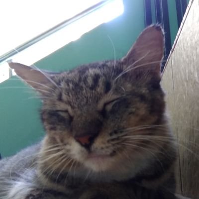 Re_Start_Gun's profile picture. Just enjoying like&retweet 🔄❤️
Collage&Cook💻🍳🔥
Love Mecha ⚙️🤖🥰
Also a Pioneers 開拓者⚒️
Selective to follback thanks 👍🏻 
If have same likes 🤝