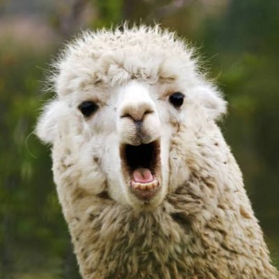 ひつじこ🐑さんのプロフィール画像