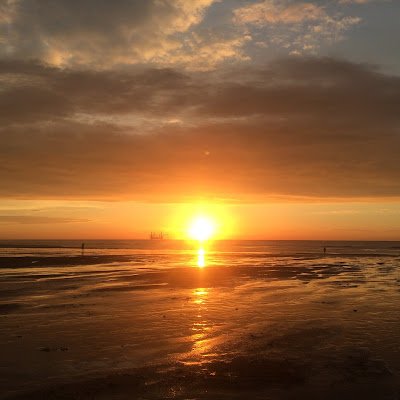 Mishjoem's profile picture. Pro-God, pro-life, pro-country 🇺🇲, pro-freedom, pro-2A, pro-Israel 🇮🇱
                                   Anti anything woke