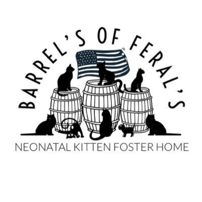 🐾We have a passion for fostering neonatal kittens & educating the community! Help us save lives & find homes! Current Fosters: 🐾 🐾 🐾 🐾