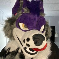 Magni (@magni_the_floof) Twitter profile photo