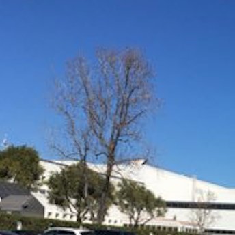 i86280's profile picture. electronic components sales