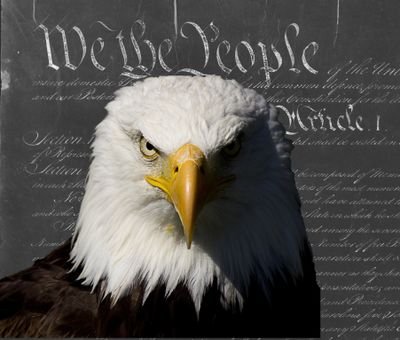 CruelEngineer's profile picture. Eternal vigilance is the price we pay for liberty