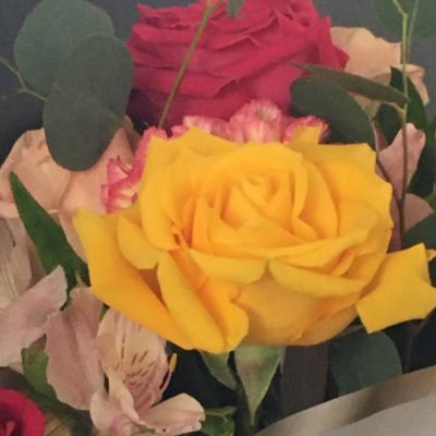 mila_segarra's profile picture. I Hate humans lol.