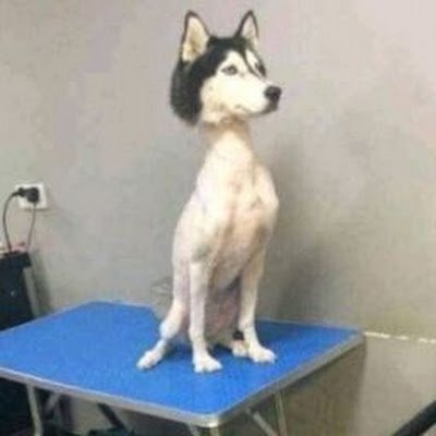 Christi14261383's profile picture. 