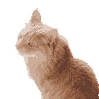 ken🗼 (@nft_cat22) Twitter profile photo