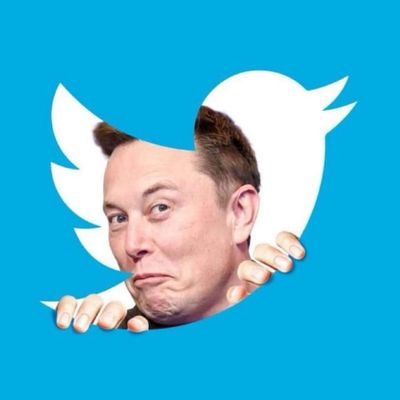 Hey Twitterverse, Elon Musk is your Daddy!