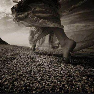 Meme__Sahib's profile picture. 