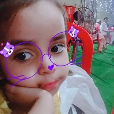 DANISHANSARID13's profile picture. 