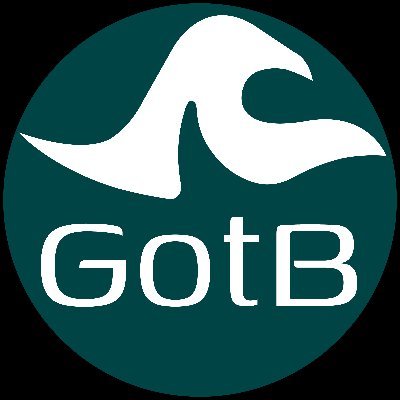 BaysGuardians's profile picture. 