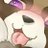 たぬころのアイコン
