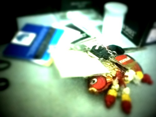 KyteroKhoaNg's profile picture. Great willing to learn