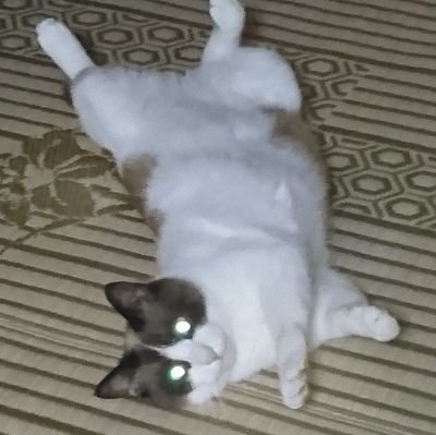 黒屋重蔵さんのプロフィール画像