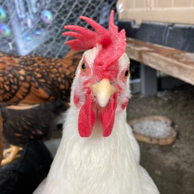 I am a hardworking family person who loves a good laugh! I’m an animal lover and feel best being outdoors with Mother Nature.