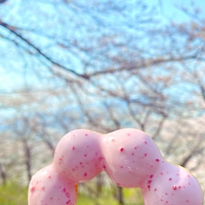 あの草花なんだろう？そんな疑問に応えるべく参上。