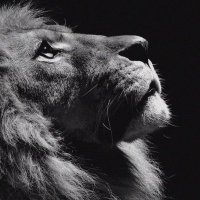 Hamza. Kashida (@hamzahko5) Twitter profile photo