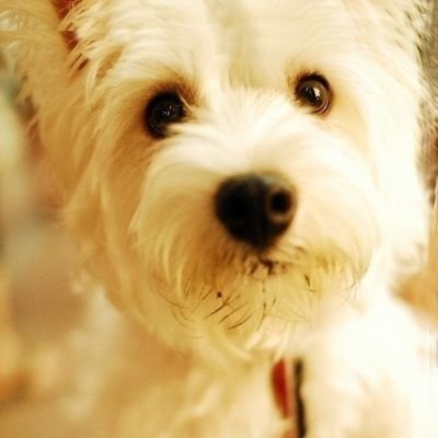 enjoybest56789's profile picture. 