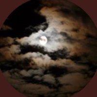 N (@h5ass) 's Twitter Profile