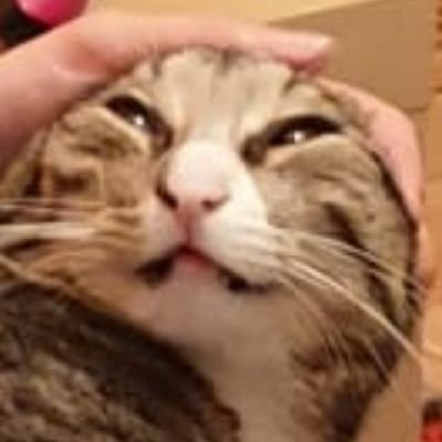 atiixx_cs's profile picture. Reallife Oblivion NPC dialogue Connaisseur.