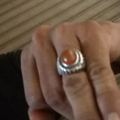 nofriandre29's profile picture. yuk semua ny gabung