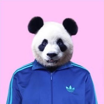 escaping_void's profile picture. Self-taught iOS dev 🍏