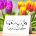 دينا آل مفرح (@dina2256819) Twitter profile photo دينا آل مفرح (@dina2256819) Twitter profile photo