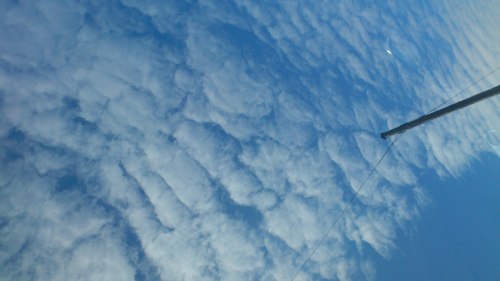 kumanosyogeki's profile picture. おやすみ～