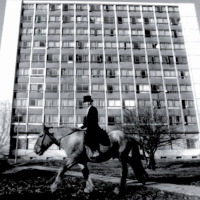 La Ferme du Bonheur (@fermebonheur) 's Twitter Profile