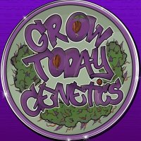 Grow Today Genetics LLC(@gtg_cali) 's Twitter Profile Photo