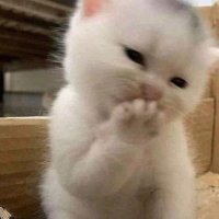 บี (@nonntantawan) 's Twitter Profile