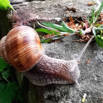 Ursula344065's profile picture. 