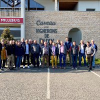 Fédération des Caves Coopératives Bourgogne-Jura(@CoopVinicolesBJ) 's Twitter Profile Photo