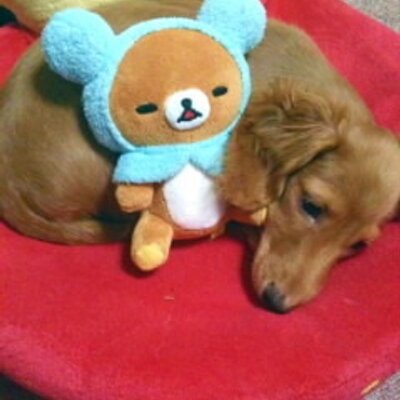 スピ No Twitter サーバント サービスの百井課長が可愛すぎる が百井課長 因みに歳は50代らしい Http T Co Xxqa3oeur2