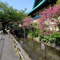 まっつん (@mattunbjj) 's Twitter Profile