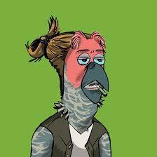 NftsLaura's profile picture. 