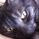 Patsy Hodges - @PatsyHodges - Twitter