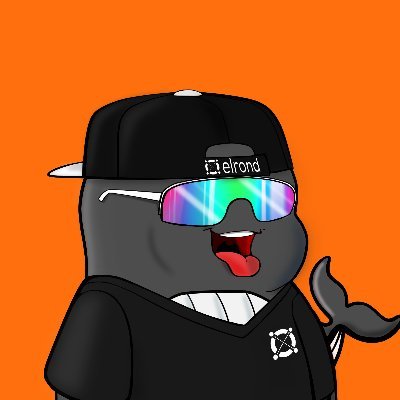 jonybyy's profile picture. @WAGMI HUB & $INFOFI