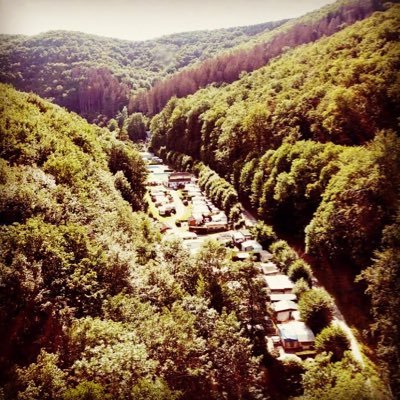campinglonau's profile picture. Campingplatz und Waldschwimmbad in Lonau