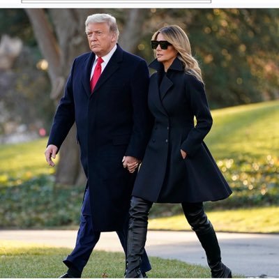 NYer4Trump's profile picture. 