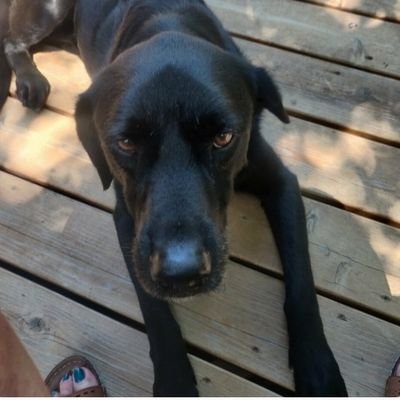 4nineSD's profile picture. 