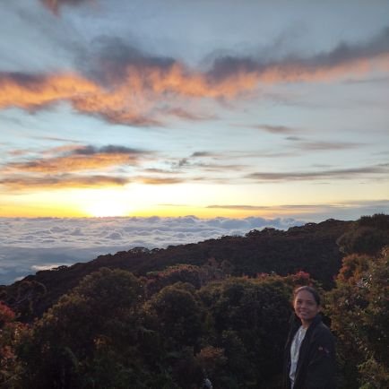 TeacherRazel's profile picture. Teacher.