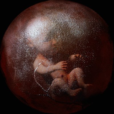 dAeveFellows's profile picture. Multi-disciplinary Artist: Illustration, 3D, VR/AR, VFX, Video Mapping, GAN/Deep Learning/AI, Installation, and Sound.
¤
VR Developer/3D Generalist @occupiedvr